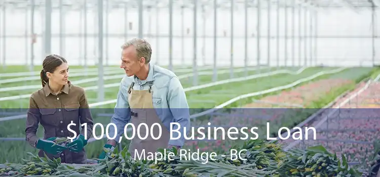 $100,000 Business Loan Maple Ridge - BC