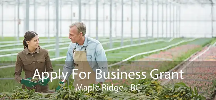 Apply For Business Grant Maple Ridge - BC